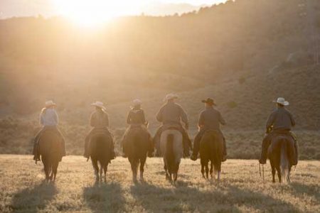 Where to Take Your Horse Camping Image